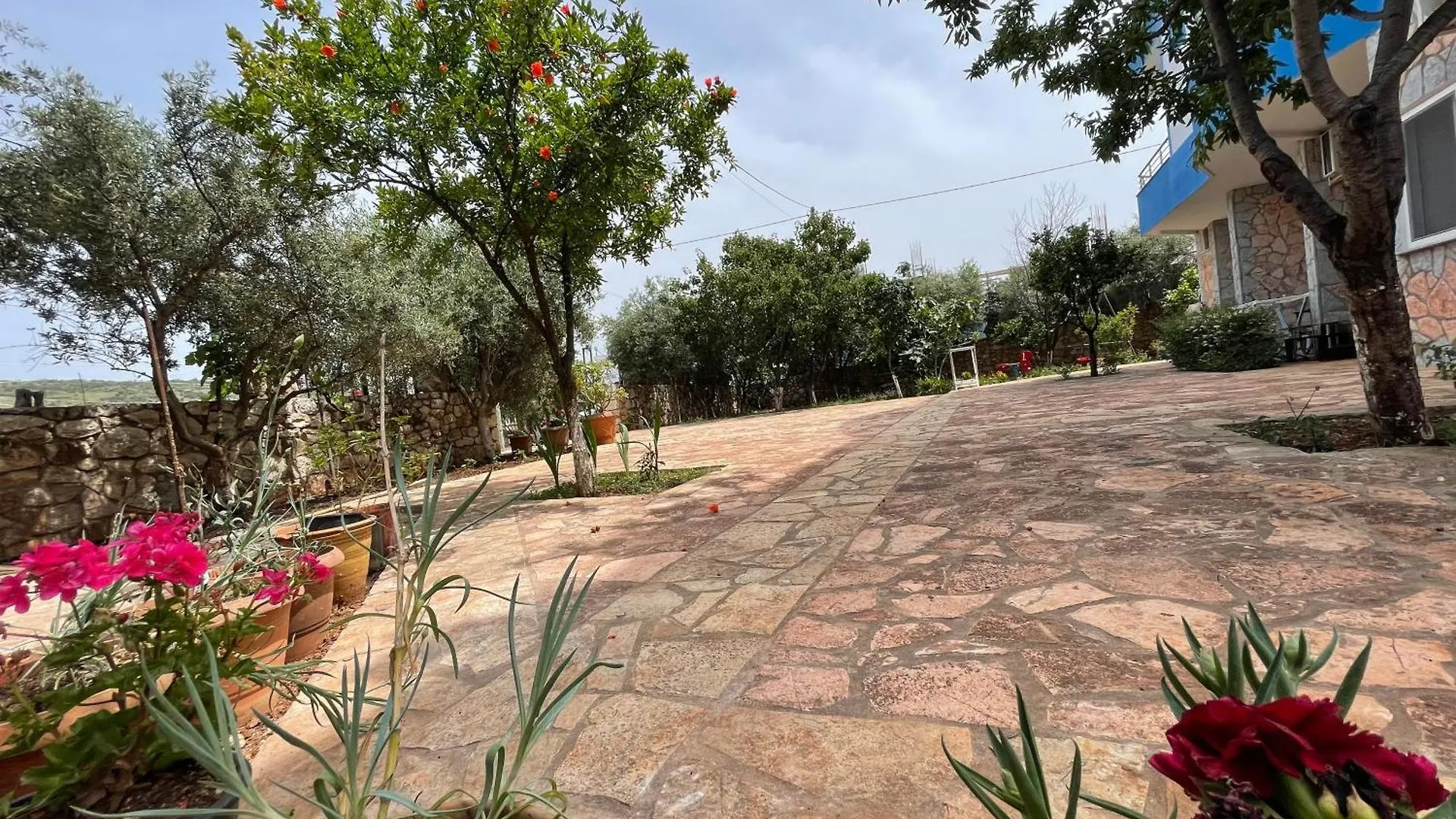 Guest house Vila Albi Ksamil